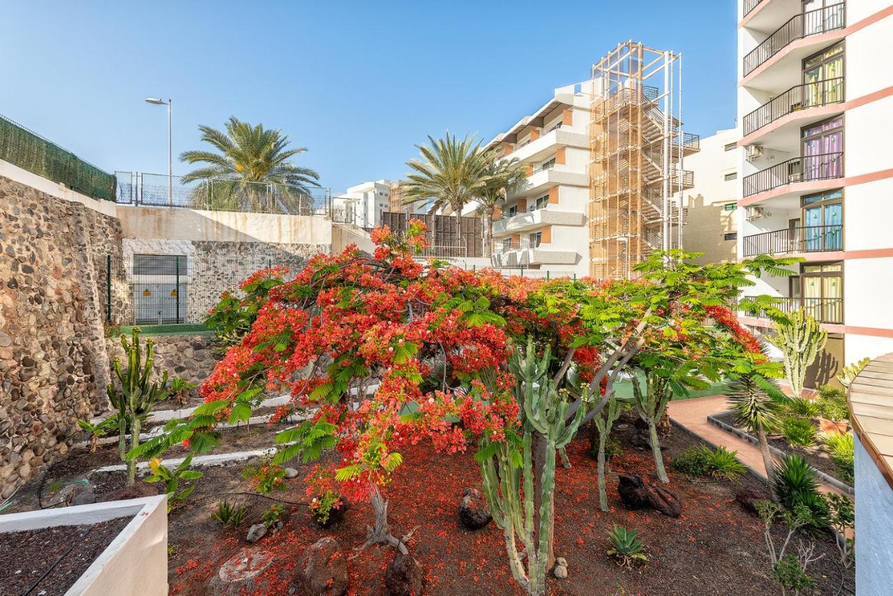 Pulpo Amarillo Lejlighed Playa del Inglés Eksteriør billede